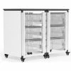 Luxor Modular Classroom Storage Cart, 2 Side by Side Modules, 6 Large Bins, 18" x 36" x 28", White